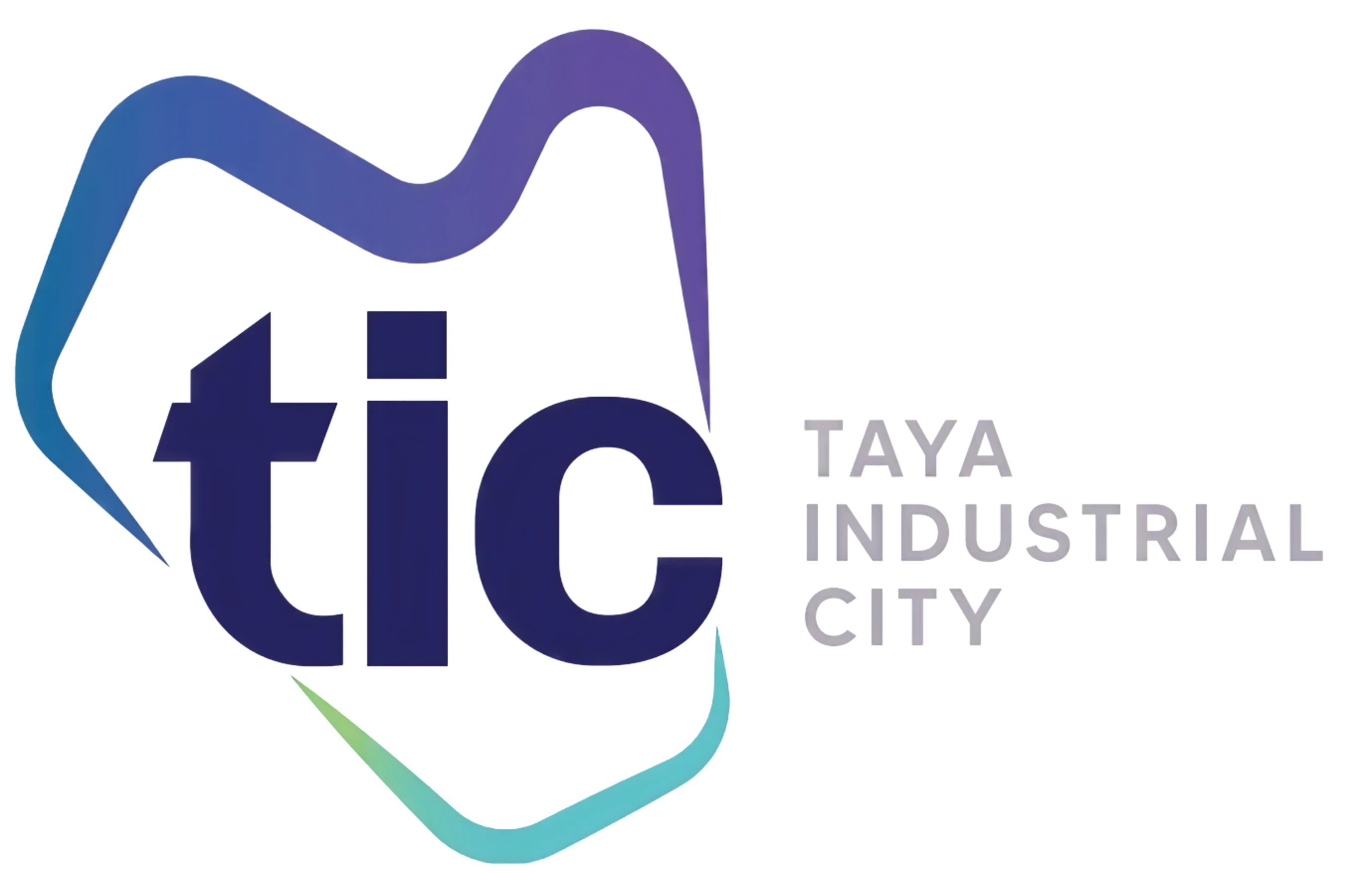 TIC Logo